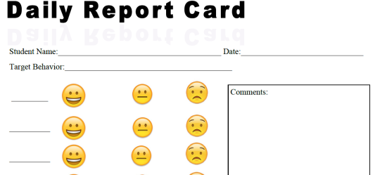 daily report card pic.PNG